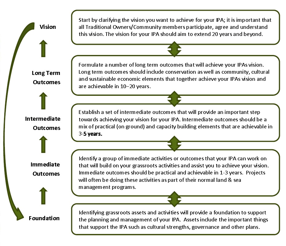 IPA Program Logic image detailed in HTML on left