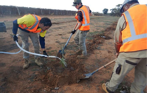 Three Indigenous rangers digging trenches