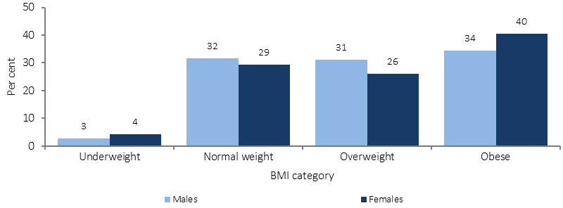 2017 Hpf Report 222 Overweight And Obesity 