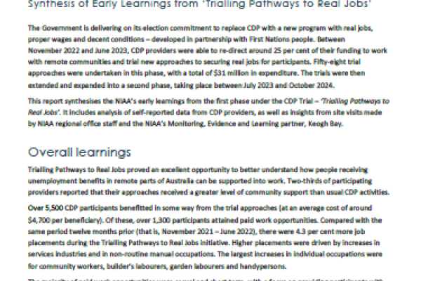 Synthesis of Early Learnings from Trial Pathways to Real Jobs