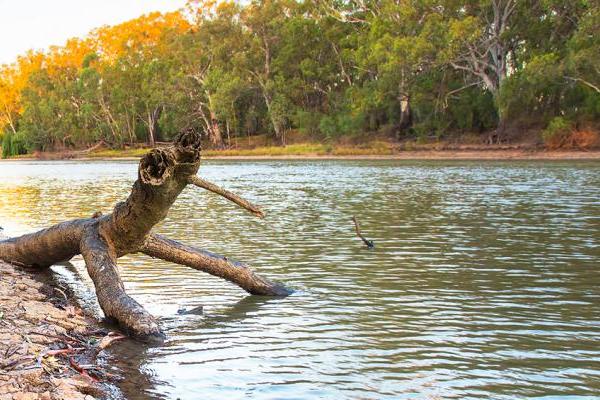 Grants now open for Murray-Darling Basin Indigenous River Rangers Program