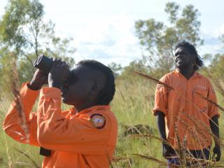 Kija Rangers on Gouldian Finch survey. Photo: © Dylan Curtin