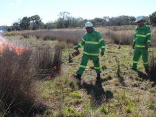 Budj Bim Rangers undertaking cultural burning. Photo: © Greg Shelton