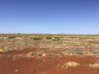 Ngururrpa IPA. Photo: © Desert Support Services