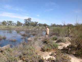 Fletchers Lake wetlands. Photo: © Barkindji Maraura Elders Environment Team Ltd