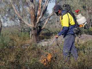 Weed Management. Photo: © Charles Tambiah