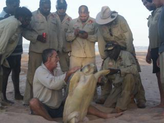 Gangalidda-Garawa Rangers turtle survey. Photo: © Carpentaria Land Council Aboriginal Corporation