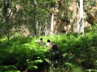 Nimbin Rocks landscape Photo © Noel King