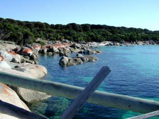 Badger Island. Photo: © Tasmanian Aboriginal Corporation