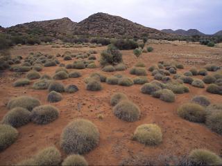 Walalkara Landscape. Photo: © APY