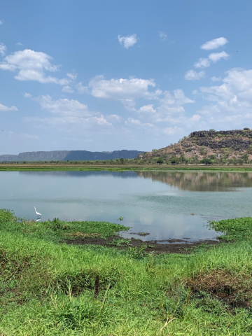 Stone Country Billabong