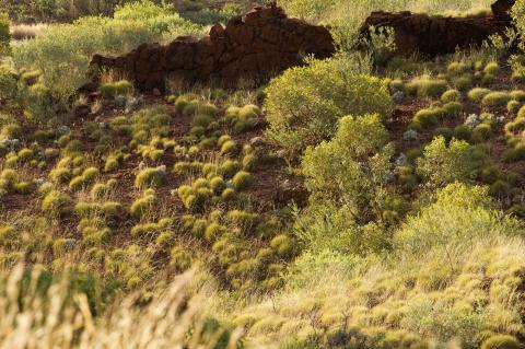 Environment related Australian Government initiatives and programmes