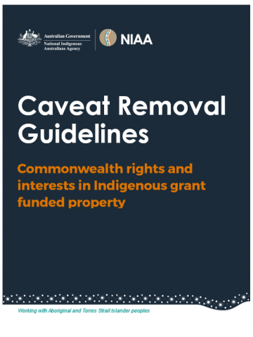 Caveat Removal Guidelines