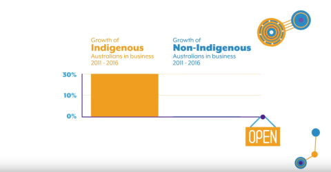 Indigenous Business Strategy