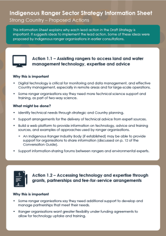 Indigenous Ranger Sector Strategy: Strong Country - Proposed Actions