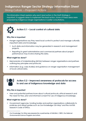 Indigenous Ranger Sector Strategy: Strong Culture – Proposed Actions