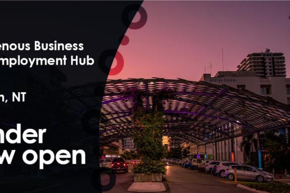 Indigenous Business and Employment Hub - Darwin, NT - Tender now open